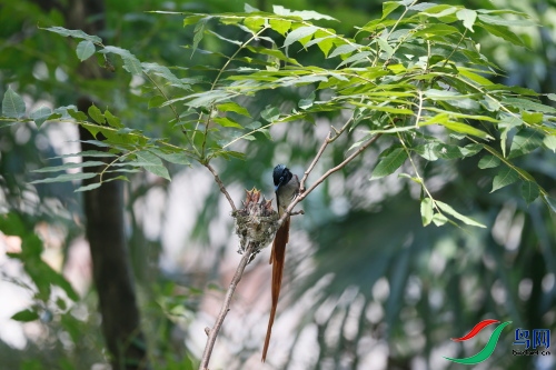 DPP_1526.JPG