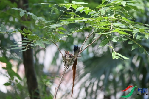 DPP_1529.JPG