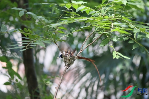 DPP_1539.JPG