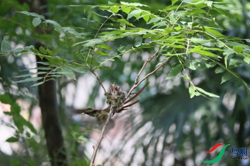 DPP_1541.JPG