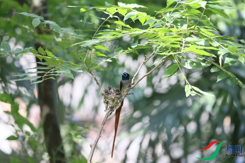DPP_1549.JPG