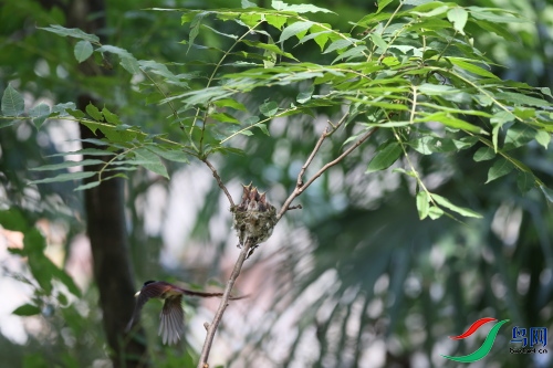DPP_1543.JPG