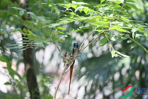DPP_1545.JPG
