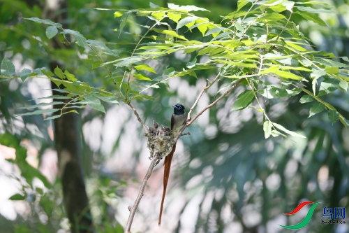 DPP_1550.JPG