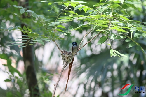 DPP_1561.JPG