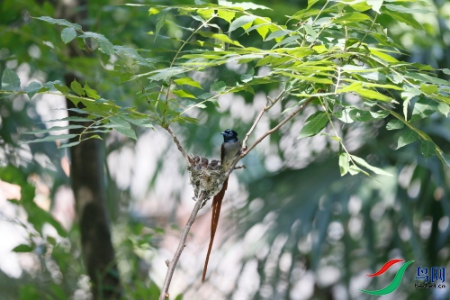 DPP_1564.JPG