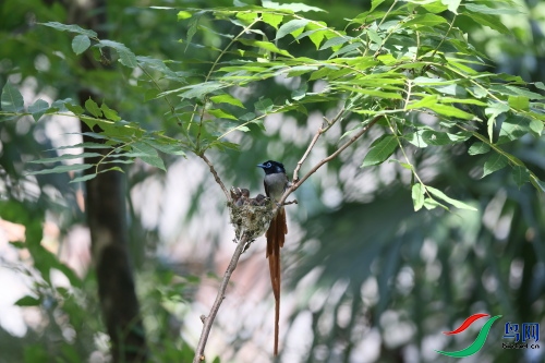 DPP_1567.JPG