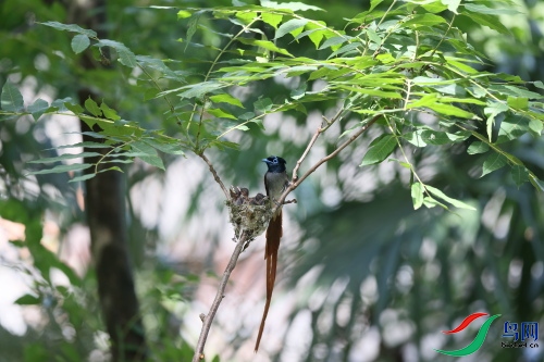 DPP_1565.JPG