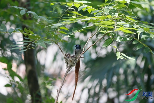 DPP_1566.JPG