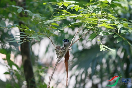 DPP_1568.JPG