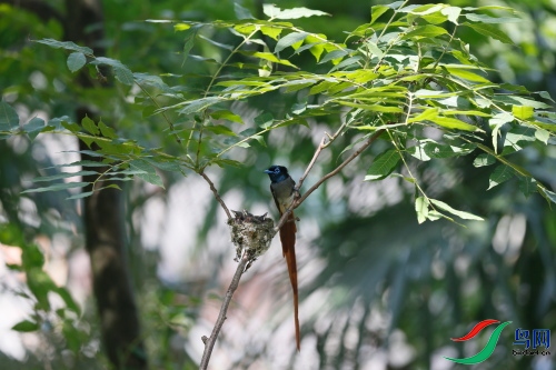 DPP_1646.JPG