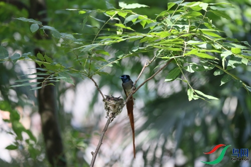 DPP_1645.JPG