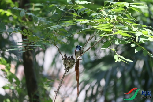 DPP_1677.JPG