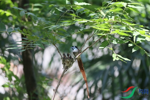 DPP_1691.JPG