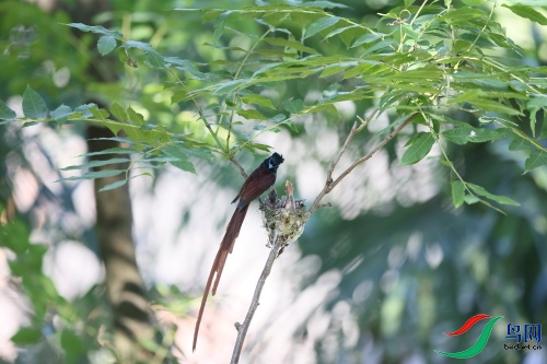 DPP_2211.JPG