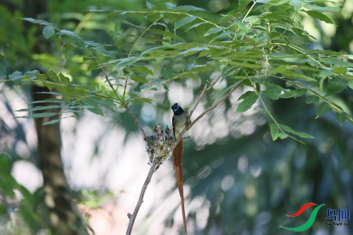 DPP_2251.JPG