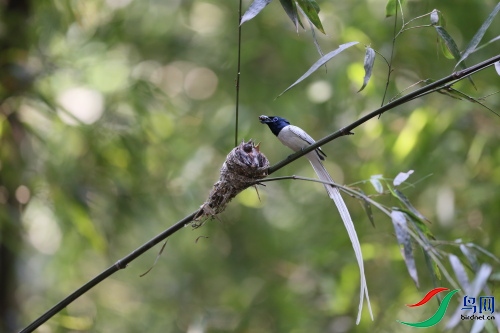 DPP_2829.JPG