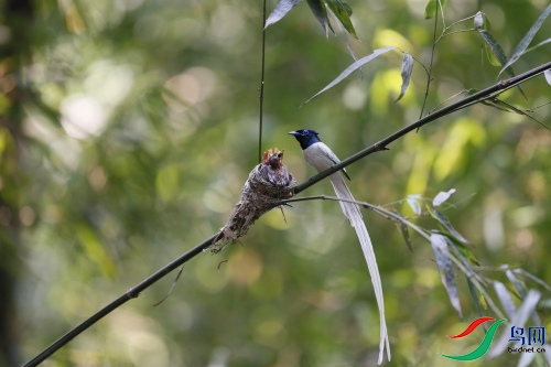 DPP_2852.JPG
