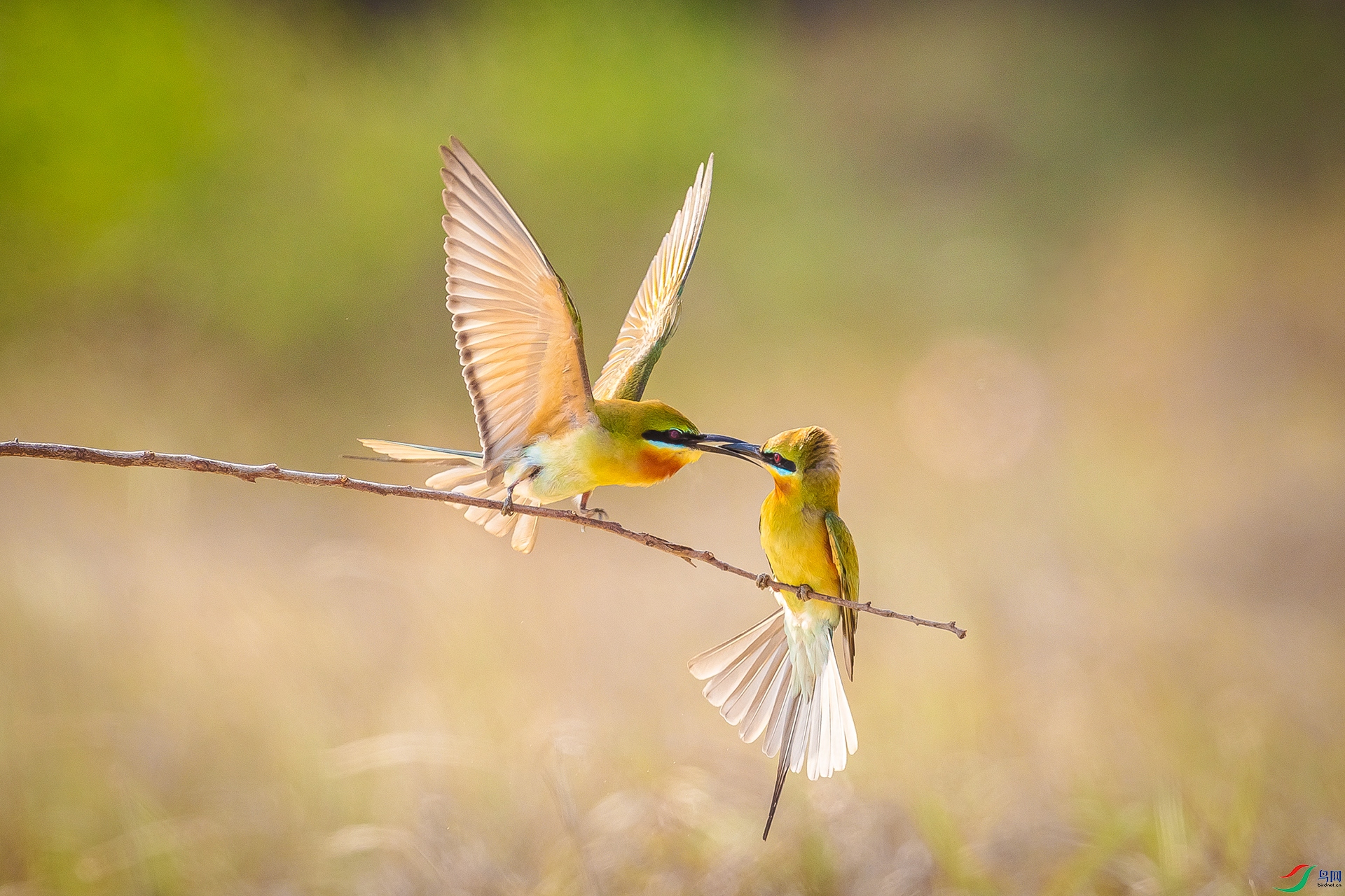 BP1I1912-3 ����.jpg