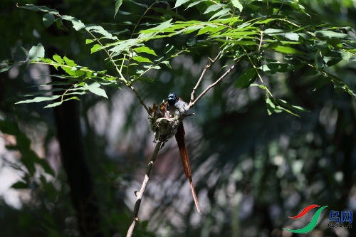 DPP_1007.JPG