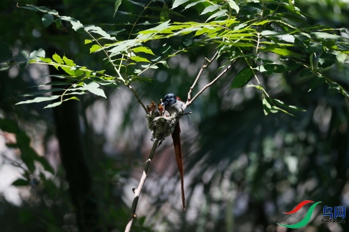 DPP_1004.JPG
