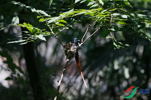 DPP_1016.JPG
