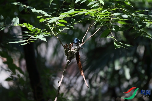 DPP_1017.JPG