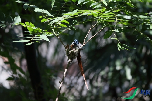 DPP_1019.JPG