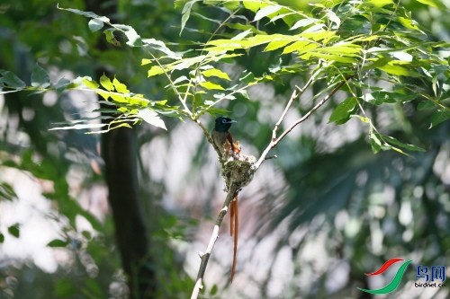 DPP_1042.JPG