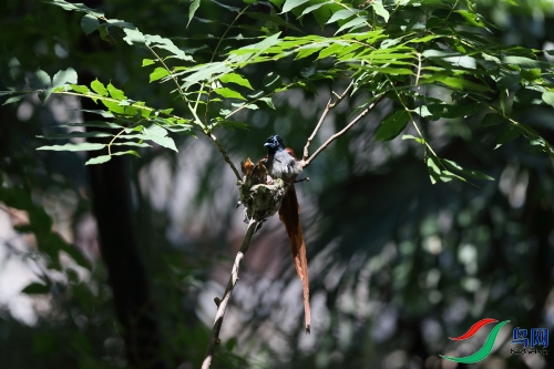 DPP_1037.JPG