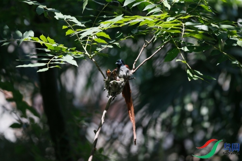 DPP_1036.JPG