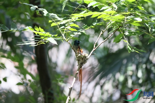DPP_1041.JPG