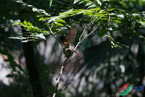 DPP_1040.JPG