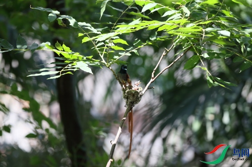 DPP_1045.JPG