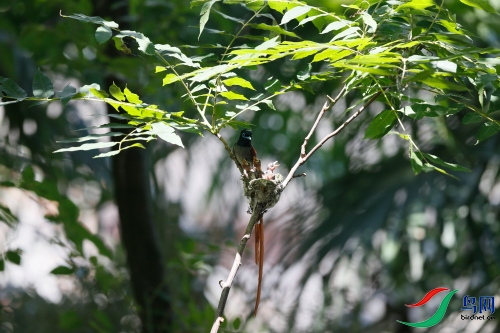 DPP_1046.JPG
