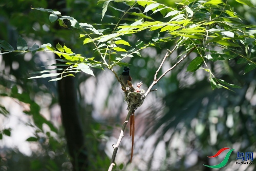 DPP_1048.JPG