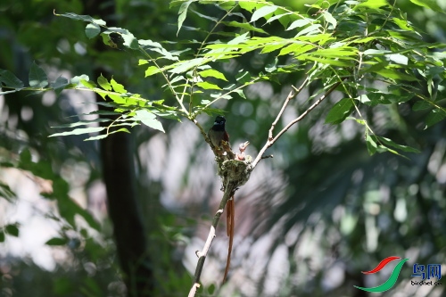 DPP_1049.JPG