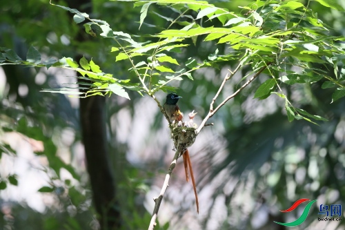 DPP_1051.JPG