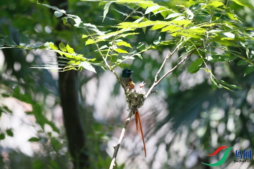 DPP_1056.JPG