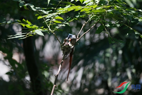 DPP_1062.JPG