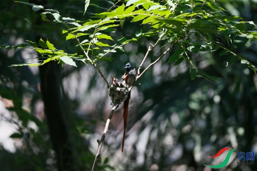 DPP_1074.JPG