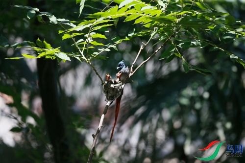 DPP_1078.JPG