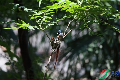 DPP_1077.JPG