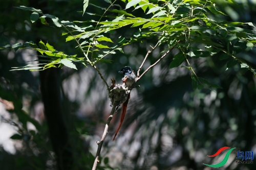 DPP_1086.JPG
