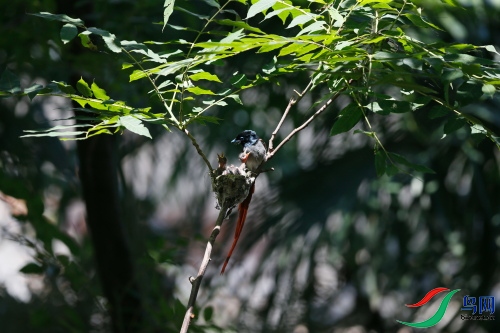 DPP_1088.JPG