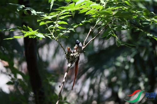 DPP_1083.JPG