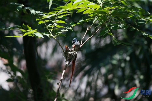DPP_1082.JPG