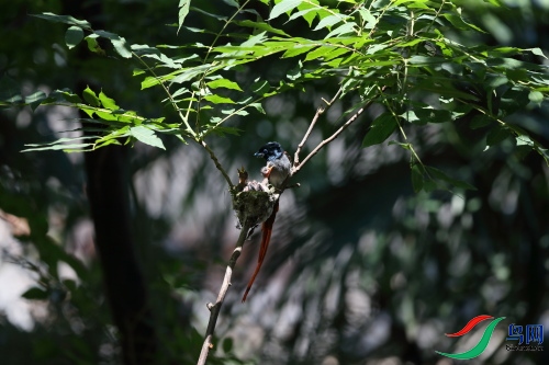 DPP_1085.JPG