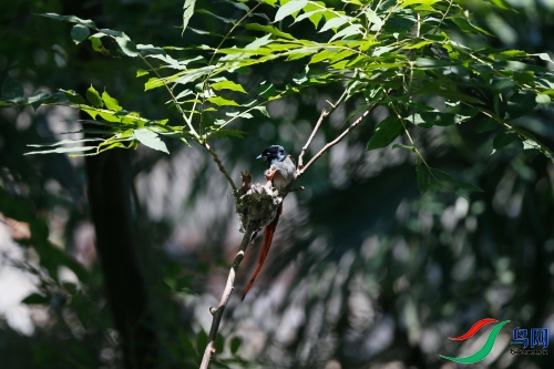 DPP_1092.JPG