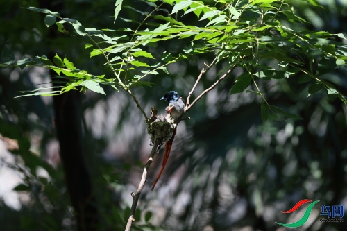 DPP_1093.JPG